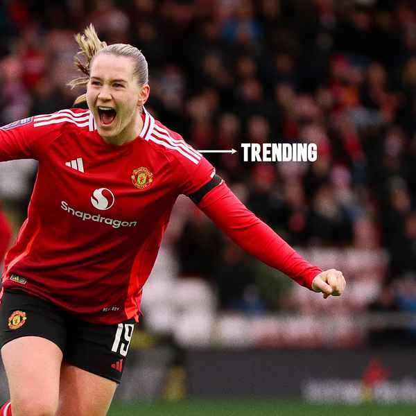 teamviewer-trending:-terland-the-terminator