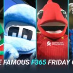 football-quiz:-can-you-identify-the-premier-league-mascots?