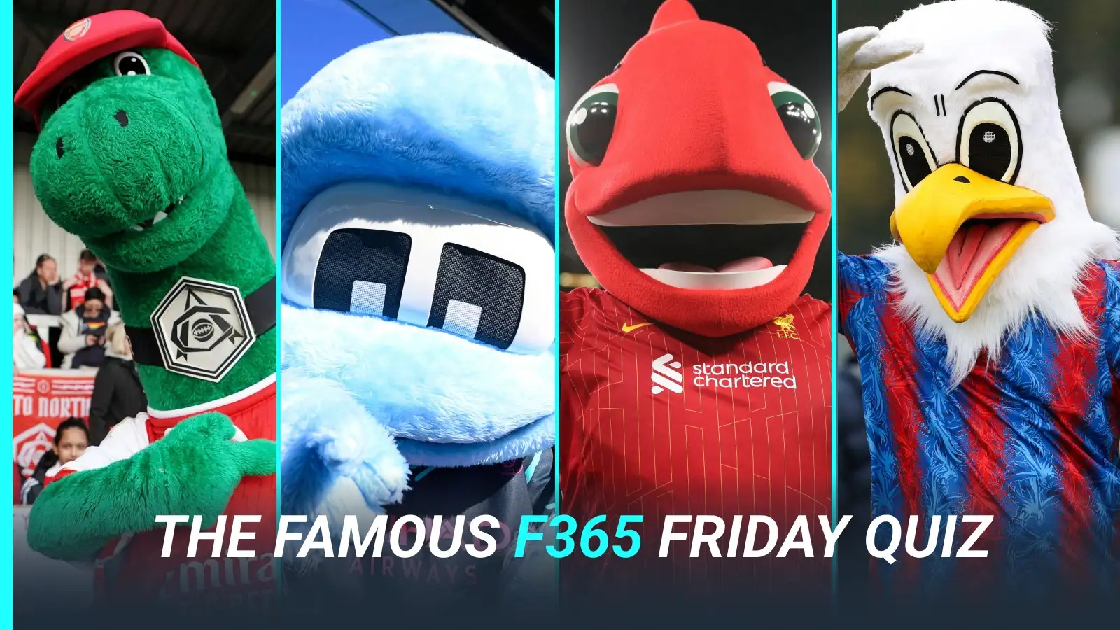 football-quiz:-can-you-identify-the-premier-league-mascots?
