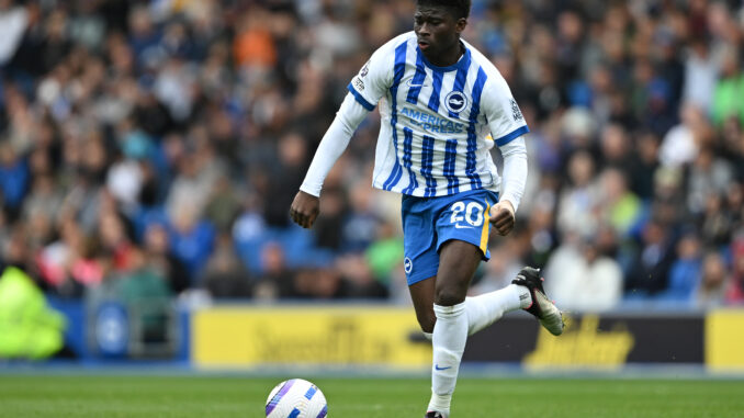Brighton & Hove Albion FC v Newcastle United FC - Premier League