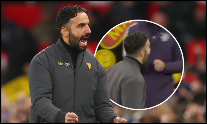 watch-what-ruben-amorim-did-instantly-after-matheus-cunha-goal-vs-brighton watch-what-ruben-amorim-did-instantly-after-matheus-cunha-goal-vs-brighton