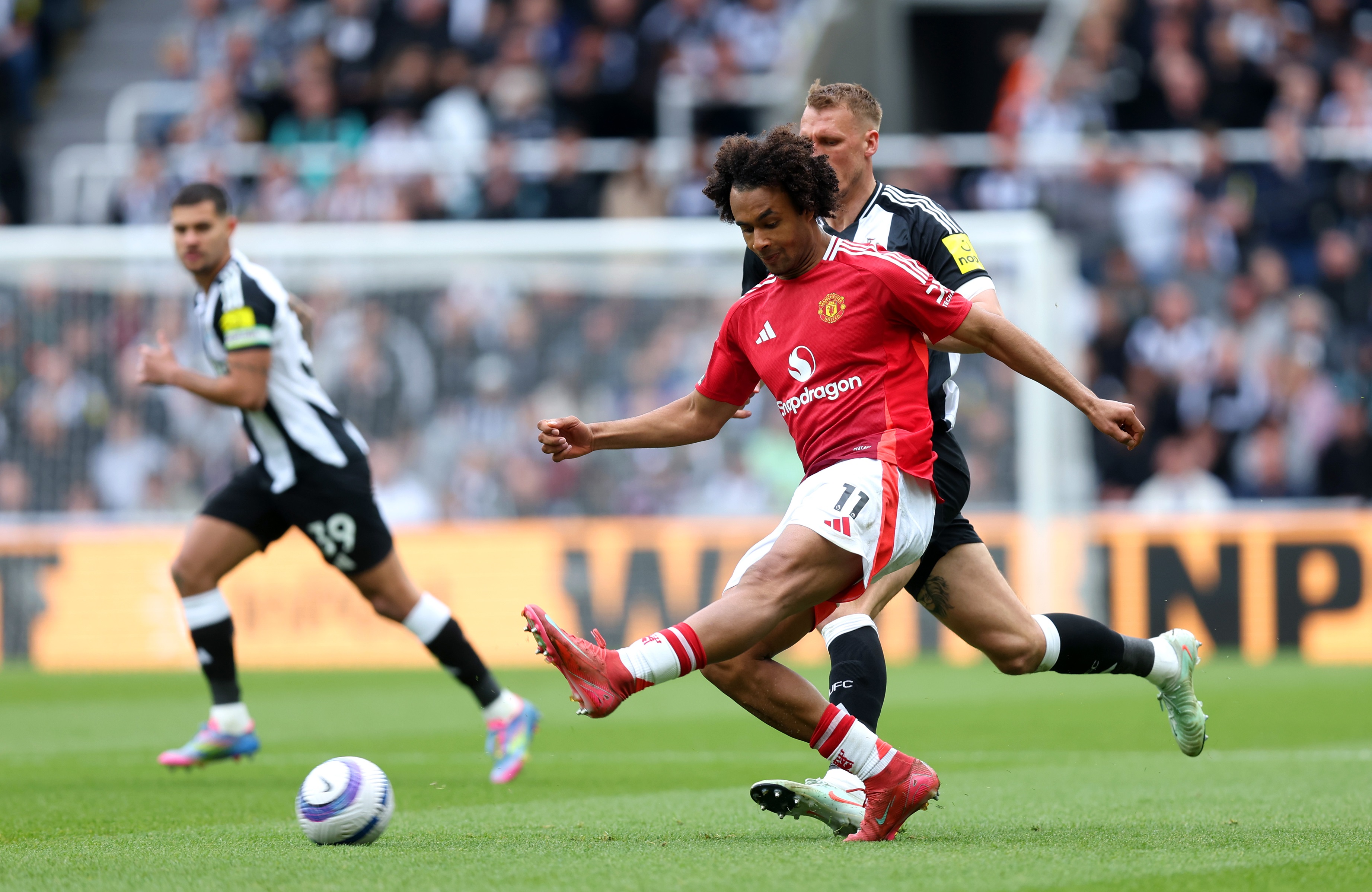 Joshua Zirkzee shoots the ball whilst under pressure.