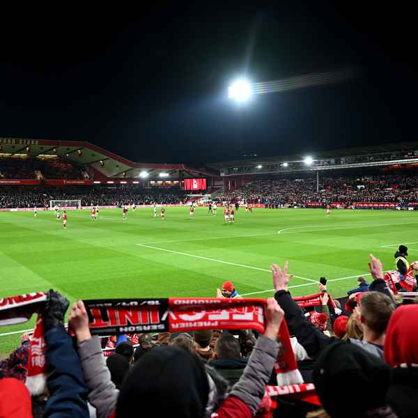 why-forest-game-is-a-rare-occurrence