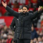 january-transfer-news:-man-united-should-hijack-tottenham-move-for-‘proven’-premier-league-striker