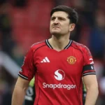 man-united-urged-to-sign-100m-tottenham-star-to-replace-harry-maguire